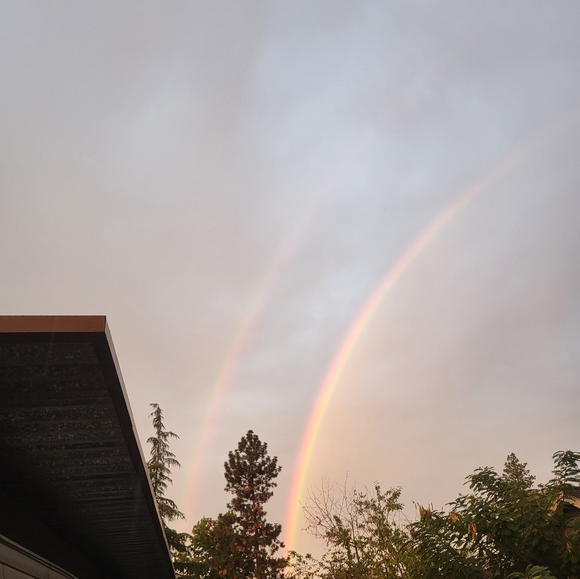 Meet your Posher, Christopher - Picture 9 of 10